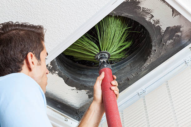 Best Affordable Air Duct Cleaning  in Townsend, DE