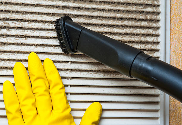 Best Ductwork Cleaning Services  in Townsend, DE